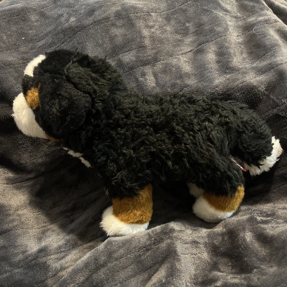 Douglas Cuddle Toys Stevie The Bernese Mountain Dog 10" Stuffed Plush #1710 - Picture 2 of 7